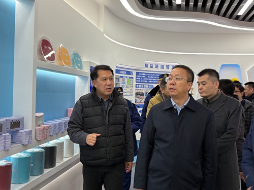 天津經(jīng)濟(jì)技術(shù)開發(fā)區(qū)黨委書記、管委會主任洪世聰一行赴東綸天津公司安全檢查和慰問
